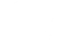 Logo-FaSylit-Action-Blanc